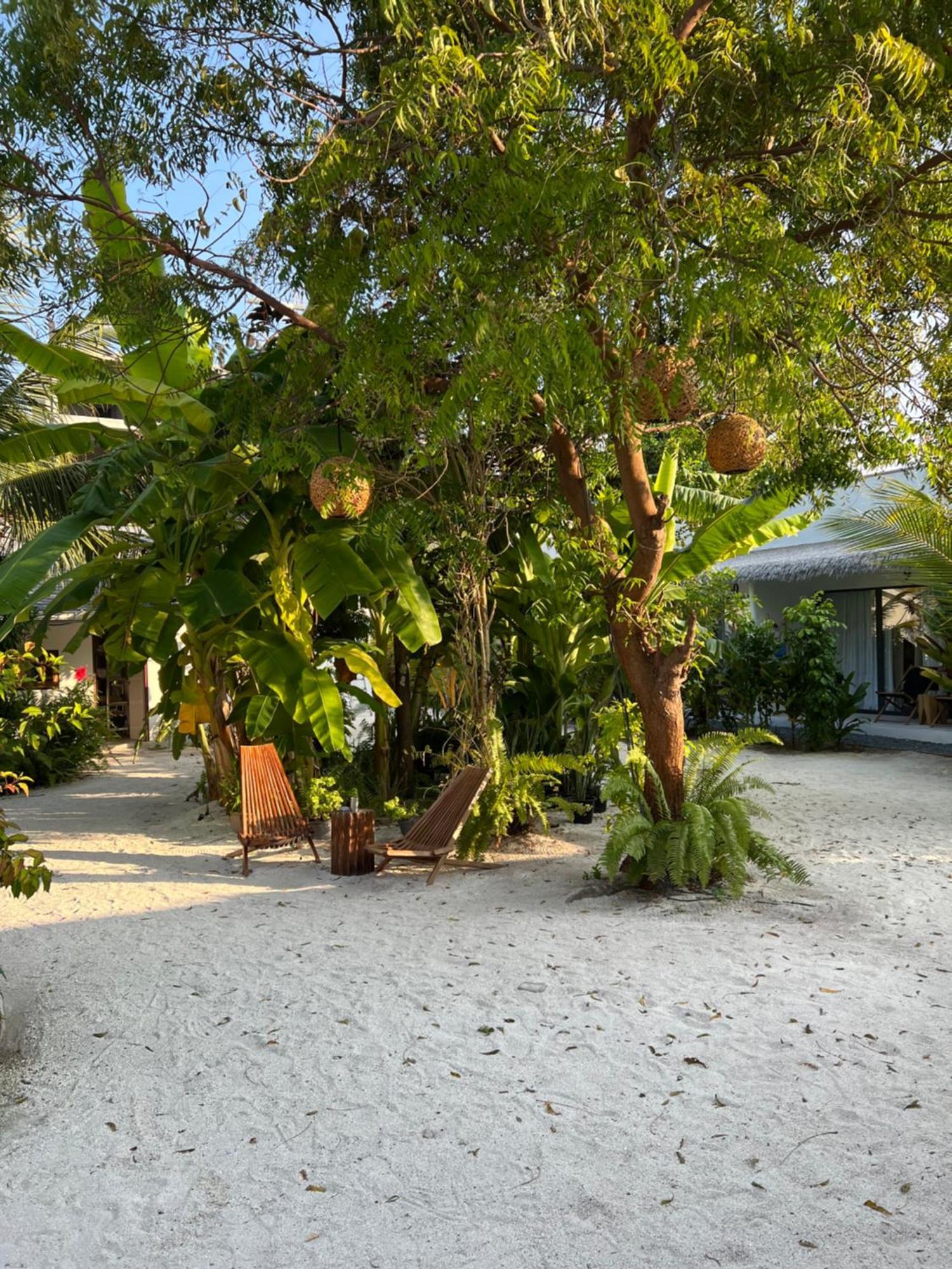 Coco Villa Thoddoo Zewnętrze zdjęcie